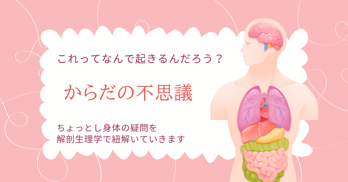 からだの不思議 西洋医学の知識でからだの不思議を見ていく (C)東京の表参道にある源保堂鍼灸院 ・薬戸金堂 東洋医学・中医学・鍼灸・漢方薬で宇宙を変えたい