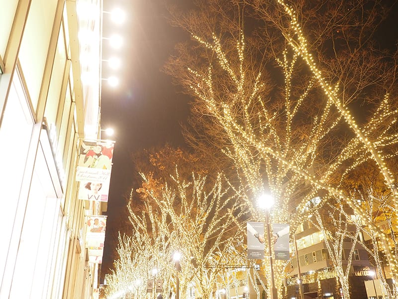 表参道のイルミネーション(C)表参道・青山・原宿・渋谷エリアの源保堂鍼灸院・漢方薬店・薬戸金堂 acupuncture clinic in Tokyo