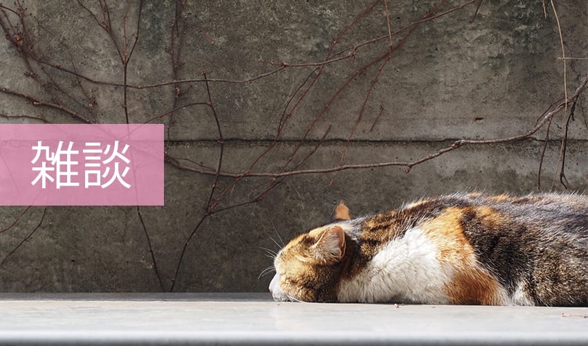 雑談-ブログ-(C)表参道・青山・原宿・渋谷エリアにある源保堂鍼灸院