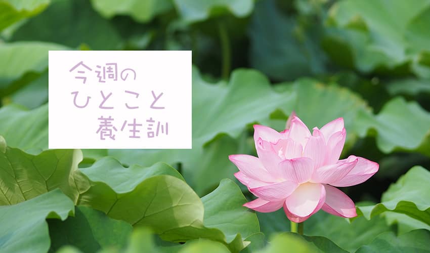 今週のひとこと養生訓(C)表参道・青山・原宿・渋谷エリアにある源保堂鍼灸院Tokyo Japan Acupuncture Clinic