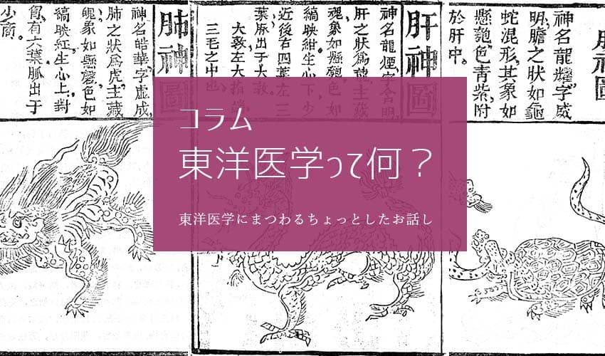 中医診断・治法 医案」という書物 - 源保堂鍼灸院｜表参道・青山の本治法（古典鍼灸