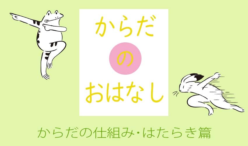 からだのはなし 仕組み・はたらき篇 (C)肩こり・腰痛・寝違い・頭痛・生理痛など源保堂鍼灸院Tokyo Japan Acupuncture Clinic