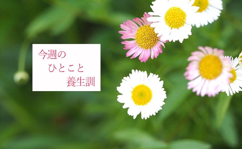 今週のひとこと養生訓(C)表参道・青山・原宿・渋谷エリアにある源保堂鍼灸院Tokyo Japan Acupuncture Clinic